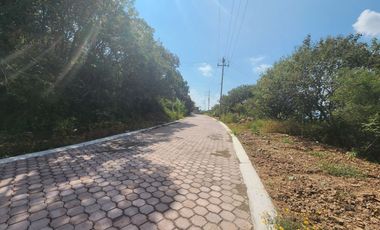 Lote Violeta 33 Xviii Nueva Zona Vip Fracc Rancho San Diego Ixtapan Sal Edomex