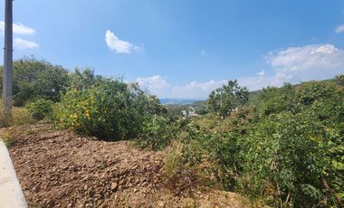 Lote Violeta 33 Xviii Nueva Zona Vip Fracc Rancho San Diego Ixtapan Sal Edomex