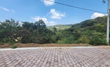 Lote Violeta 33 Xviii Nueva Zona Vip Fracc Rancho San Diego Ixtapan Sal Edomex