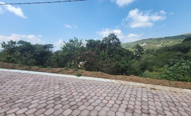 Lote Violeta 33 Xviii Nueva Zona Vip Fracc Rancho San Diego Ixtapan Sal Edomex