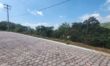 Lote Violeta 33 Xviii Nueva Zona Vip Fracc Rancho San Diego Ixtapan Sal Edomex