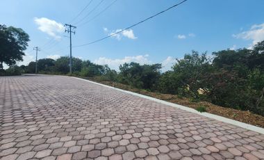 Lote Violeta 33 Xviii Nueva Zona Vip Fracc Rancho San Diego Ixtapan Sal Edomex