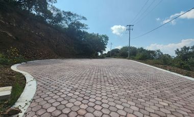 Lote Violeta 33 Xviii Nueva Zona Vip Fracc Rancho San Diego Ixtapan Sal Edomex
