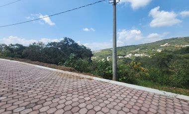 Lote Violeta 33 Xviii Nueva Zona Vip Fracc Rancho San Diego Ixtapan Sal Edomex