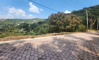 Lote Violeta 33 Xviii Nueva Zona Vip Fracc Rancho San Diego Ixtapan Sal Edomex