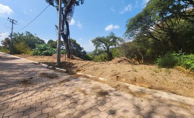Lote Violeta 34 - 11 Mza Xviii Fracc Rancho San Diego Ixtapan de La Sal Edomex