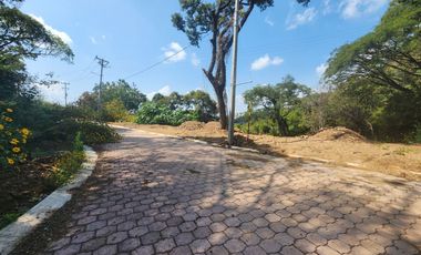 Lote Violeta 34 - 11 Mza Xviii Fracc Rancho San Diego Ixtapan de La Sal Edomex