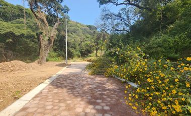 Lote Violeta 34 - 11 Mza Xviii Fracc Rancho San Diego Ixtapan de La Sal Edomex