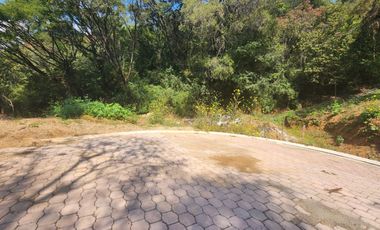 Lote Violeta 34 - 11 Mza Xviii Fracc Rancho San Diego Ixtapan de La Sal Edomex