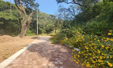 Lote Violeta 34 - 11 Mza Xviii Fracc Rancho San Diego Ixtapan de La Sal Edomex