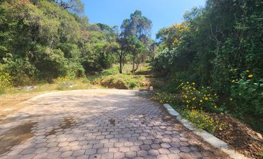 Lote Violeta 34 - 11 Mza Xviii Fracc Rancho San Diego Ixtapan de La Sal Edomex