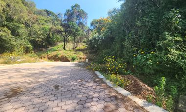 Lote Violeta 34 - 11 Mza Xviii Fracc Rancho San Diego Ixtapan de La Sal Edomex