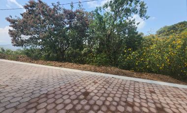 Lote Violeta 34 - 6 Mza Xviii en Rancho San Diego Ixtapan de La Sal Edomex
