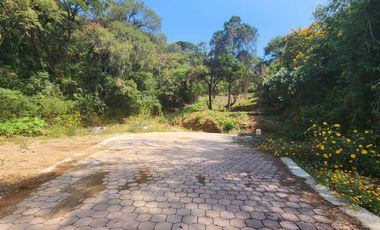 Lote Violeta 34 - 6 Mza Xviii en Rancho San Diego Ixtapan de La Sal Edomex