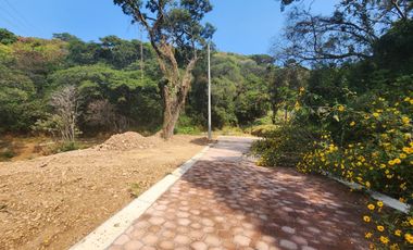 Lote Violeta 34 - 6 Mza Xviii en Rancho San Diego Ixtapan de La Sal Edomex