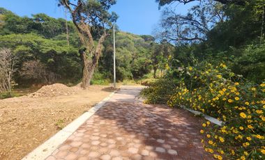 Lote Violeta 34 - 6 Mza Xviii en Rancho San Diego Ixtapan de La Sal Edomex