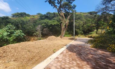 Lote Violeta 34 - 6 Mza Xviii en Rancho San Diego Ixtapan de La Sal Edomex