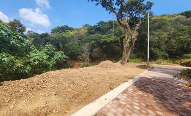 Lote Violeta 34 - 6 Mza Xviii en Rancho San Diego Ixtapan de La Sal Edomex