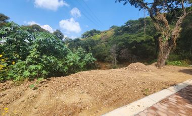 Lote Violeta 34 - 6 Mza Xviii en Rancho San Diego Ixtapan de La Sal Edomex