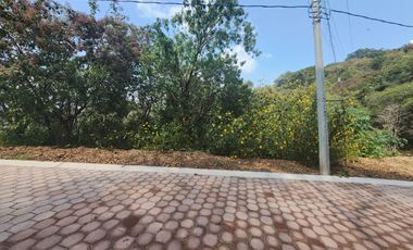 Lote Violeta 34 - 6 Mza Xviii en Rancho San Diego Ixtapan de La Sal Edomex