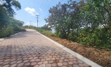 Lote Violeta 34 - 6 Mza Xviii en Rancho San Diego Ixtapan de La Sal Edomex