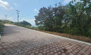 Lote Violeta 34 - 6 Mza Xviii en Rancho San Diego Ixtapan de La Sal Edomex