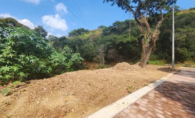 Lote Violeta 34 - 6 Mza Xviii en Rancho San Diego Ixtapan de La Sal Edomex