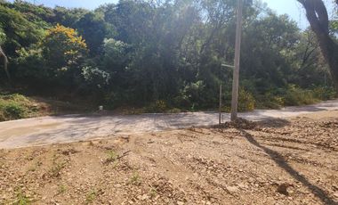 Lote Violeta 34 - 12 Mza Xviii Fracc Rancho San Diego Ixtapan de La Sal Edomex