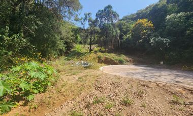 Lote Violeta 34 - 12 Mza Xviii Fracc Rancho San Diego Ixtapan de La Sal Edomex