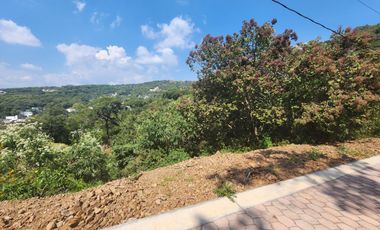 Lote Violeta 34 - 12 Mza Xviii Fracc Rancho San Diego Ixtapan de La Sal Edomex