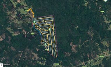 Parcelas en venta Condominio Los Canelos Maullin