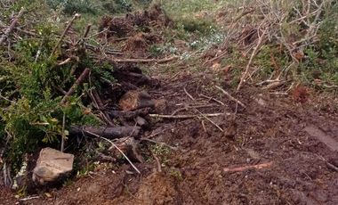 Parcelas en venta Condominio Los Canelos Maullin