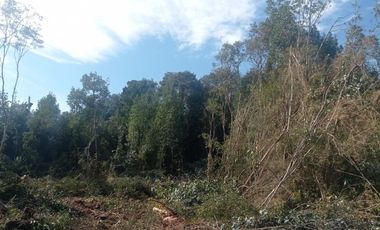 Parcelas en venta Condominio Los Canelos Maullin