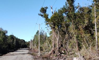 Parcelas en venta Condominio Los Canelos Maullin