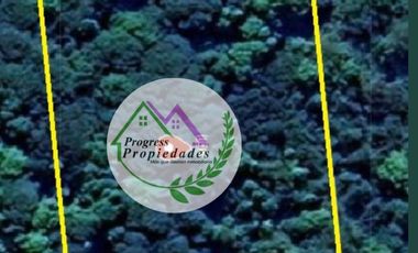 Parcelas en venta Condominio Los Canelos Maullin