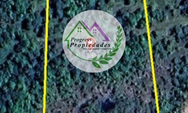 Parcelas en venta Condominio Los Canelos Maullin