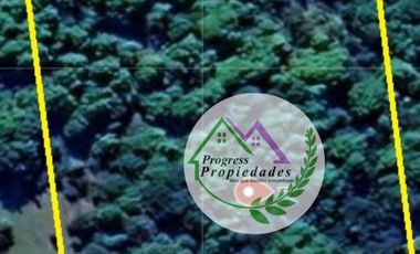 Parcelas en venta Condominio Los Canelos Maullin