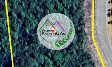 Parcelas en venta Condominio Los Canelos Maullin