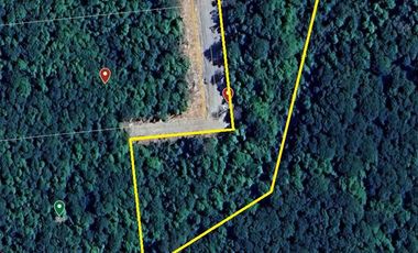 Parcelas en venta Condominio Los Canelos Maullin