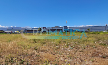 Venta Terreno Plano De 25.480 M2 En Ex Ruta 5 Sur, Requínoa