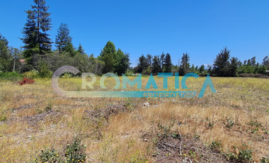 Venta Terreno Plano De 25.480 M2 En Ex Ruta 5 Sur, Requínoa