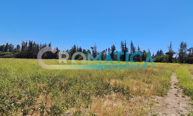 Venta Terreno Plano De 25.480 M2 En Ex Ruta 5 Sur, Requínoa