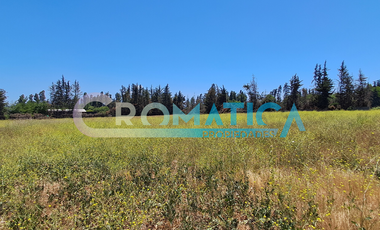 Venta Terreno Plano De 25.480 M2 En Ex Ruta 5 Sur, Requínoa