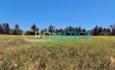 Venta Terreno Plano De 25.480 M2 En Ex Ruta 5 Sur, Requínoa