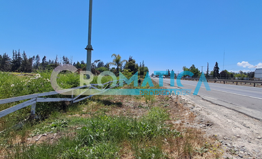 Venta Terreno Plano De 25.480 M2 En Ex Ruta 5 Sur, Requínoa