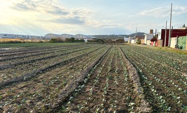 Terreno en venta en Tzocuilac, Cholula de Rivadabia