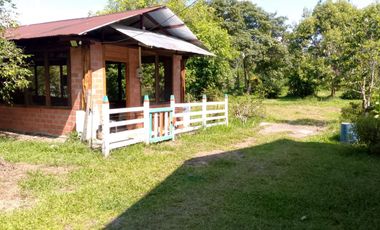 Se Vende Finca con  8.8 Hectáreas con Producción de Cacao y Piscinas  para peces  en Loreto Provincia de Orellana