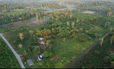 Se Vende Finca con  8.8 Hectáreas con Producción de Cacao y Piscinas  para peces  en Loreto Provincia de Orellana
