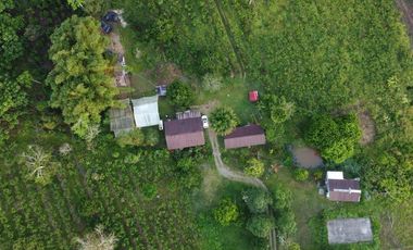 Se Vende Finca con  8.8 Hectáreas con Producción de Cacao y Piscinas  para peces  en Loreto Provincia de Orellana