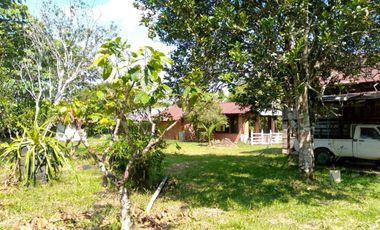 Se Vende Finca con  8.8 Hectáreas con Producción de Cacao y Piscinas  para peces  en Loreto Provincia de Orellana